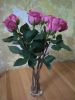 5a24efe57a004_1.thumb.jpg.ddc2c4b523d7ae3fc13bdba5f9a15fd8.jpg