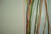 5a2ea40c37fe7_DSC05545().thumb.JPG.223b969898330e0b2dfed909fc2e96a2.JPG