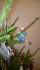 5a4762c74da5f_20.thumb.JPG.4cd6e9e4dce5ad2e41cd46d06a9f66a6.JPG