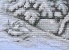 7.thumb.jpg.8d3ad0b203e4de3c44da377ed40f60d4.jpg