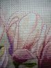 8.thumb.JPG.a169f6476ab76082a92b46425873e2c7.JPG