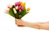 8marta.thumb.jpg.27dc883a0080c72f32bb73c12dd647cb.jpg