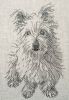 Ajisai_Designs_Puppy_dog.thumb.jpg.9b798e0d4f7675435987402edc1ff8a3.jpg