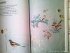 CAM00918.thumb.jpg.2d0c42fcfcd7bd96d26bee474adc9037.jpg