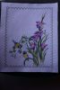 DSC00060_1.thumb.jpg.1fe018821ff995cc2a128fb5a5485eb0.jpg