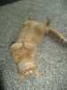 DSC00254.thumb.JPG.e89741e0a8dc8d1b71f58598b8fa9baa.JPG