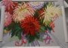 DSC00482.thumb.JPG.18c8e5bf246e439f4c547b183cfb9a32.JPG