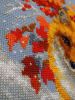 DSC02129_.thumb.jpg.8acb591e0d23d52ccbd70a2cef2490d8.jpg