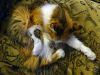 DSC02132_.thumb.jpg.8c16267478b03be7c6d49cec7d6414ca.jpg