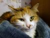 DSC02134_.thumb.jpg.d7f21393780dd89806dedd0fc5749516.jpg