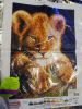 DSC02161_.thumb.jpg.282a6c7ff62a31d7d38864495c540d9e.jpg