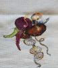 DSC02168.thumb.JPG.c0d0ebeb90435bf805b8b7385061c62c.JPG