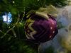DSC02185_.thumb.jpg.623a3bddf3fcbab34658f2d505683ab0.jpg