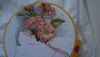DSC04290.thumb.jpg.54bc1e14406d732c81d3586e03f0f83b.jpg