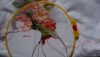 DSC04795_1.thumb.jpg.8a50180c4c420c172e202145e21bc3c6.jpg
