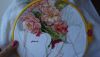 DSC04876_1.thumb.jpg.c278c9f82220b57b058e66e5fb314991.jpg
