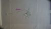 DSC05276.thumb.jpg.2104510082398d16ebef437330cfdd6a.jpg