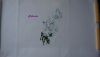 DSC05284.thumb.jpg.7fe776d720db673aaa6c77437163509e.jpg