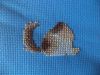 DSC05314.thumb.JPG.8141a0b79559ca118dd63ec4a802bdef.JPG