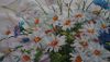 DSC05402.thumb.jpg.0beabbdb4ed83509e8d85eaa5e7ac389.jpg