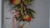 DSC05448.thumb.jpg.685b6d0a024c32d30824a225f8f7f5f0.jpg