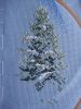 DSC07687.thumb.JPG.d9f33bf7b1c45929045843ba0444baa4.JPG