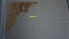 DSC07747.thumb.jpg.08fc4bae438d1899be8c06838d5cd024.jpg