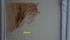DSC07821.thumb.jpg.3ebf89a90d7f439b8eb06d32a5451716.jpg
