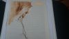 DSC07880.thumb.jpg.fbfbccde646d7003572f33e03be4f146.jpg