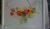 DSC08031.thumb.jpg.29c6ec236a2542344785fb41a0f6bd62.jpg