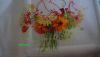 DSC08148.thumb.jpg.03c9da6406e7895b8d4467c16bd15ddc.jpg