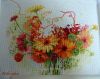 DSC08152.thumb.jpg.b8d011e1085b005a06a7ea288a057ac6.jpg