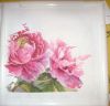 DSC08214.thumb.JPG.4cba49c5a1241e7d532ee791941e66b5.JPG