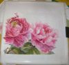 DSC08221.thumb.JPG.0fa1ce08bb9d6f927925e95a90d8daa9.JPG