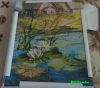 DSC08786.thumb.jpg.f906de683b3d63aaa809d596b9964c00.jpg