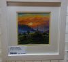 DSC08813.thumb.JPG.edc7db1e96a8e7b25fd6fb4addf4b1d7.JPG