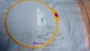 DSC08882.thumb.jpg.0275d7ad337c672af385c4e9dc78caa8.jpg