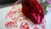 DSC09291.thumb.jpg.a5d5e61c19ac5da887f94fe135dacf6c.jpg