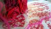 DSC09293.thumb.jpg.50fa8ce04ade5c7fd2003c0643d2d1f1.jpg