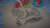 DSC09449.thumb.JPG.d2e3dbfdd585aac689d73687eed3c9bd.JPG