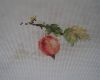 DSC09451.thumb.JPG.996eb5c7effe34762bd8c0a4e447995a.JPG