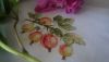 DSC09474.thumb.JPG.20c1969828efcccaba67a1eef6cd6b57.JPG