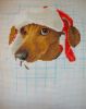 DSC09736.thumb.JPG.66a8a17e43034480ce2954047a8f8a80.JPG