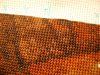 DSC09758.thumb.JPG.91934b8c3d0e02ad0689c20623c61e75.JPG