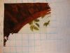 DSC09763.thumb.JPG.af54078f9058053933895178ce2b61e6.JPG