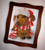 DSC09878.thumb.JPG.28fbe41cc37cac24576bb2b77a358594.JPG