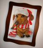 DSC09878.thumb.JPG.89148a2b311c6e5448481b5459a128e0.JPG
