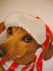 DSC09883.thumb.JPG.e9d95e9b4ef3b54c84e489c3094dbcd6.JPG