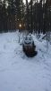 DSC_0285.thumb.JPG.8e816f1f54fbdcdfbc2a40fef7f187b0.JPG