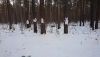 DSC_0286.thumb.JPG.a989b93d837916efb0c292554f954247.JPG